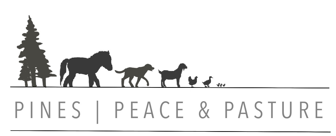 Pines Peace and Pasture